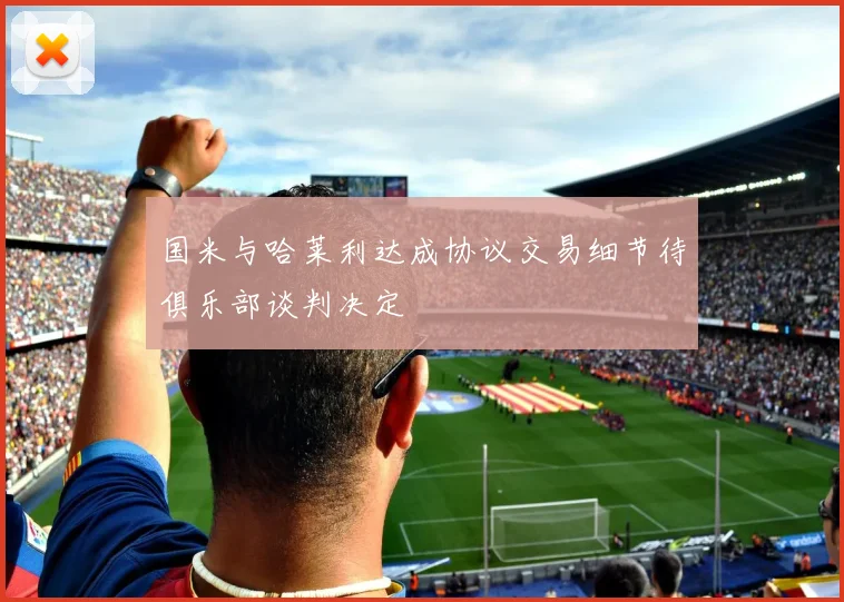 国米与哈莱利达成协议交易细节待俱乐部谈判决定