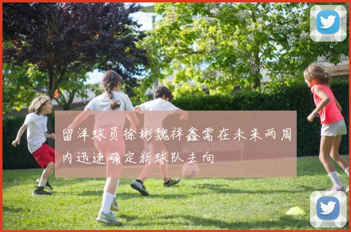 留洋球员徐彬魏祥鑫需在未来两周内迅速确定新球队去向